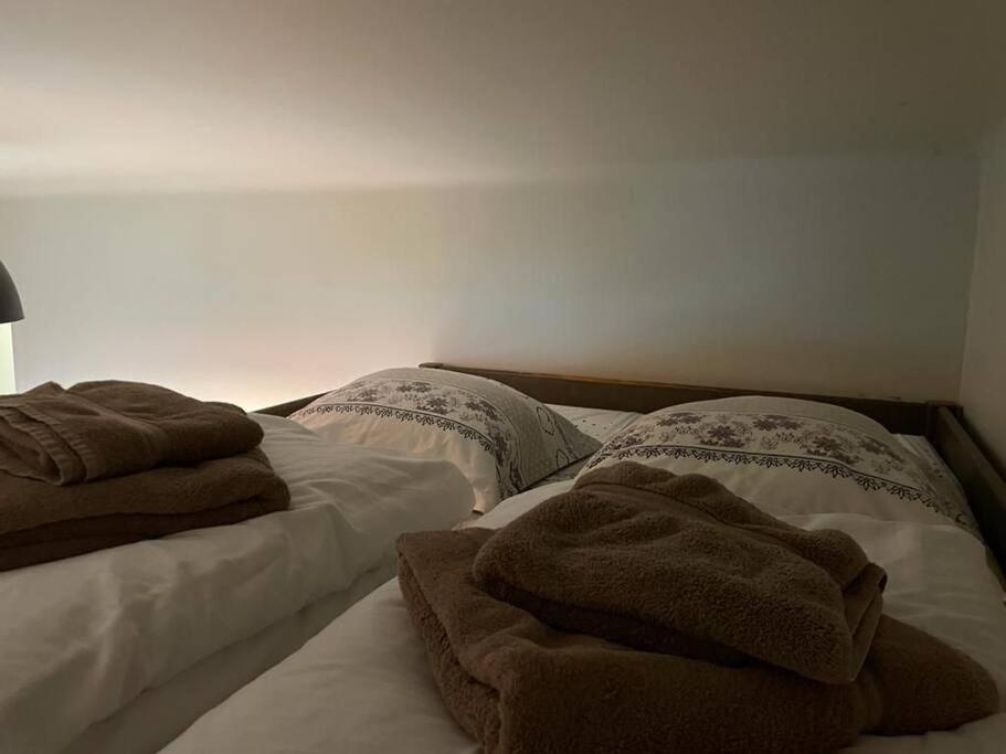 Joli Logement Avec Terrasse La Cigale 6 A 8 Personnes Orbey Extérieur photo